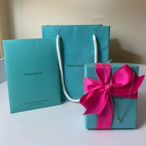 Tiffany & Co. Elsa Peretti .07 carat Silver Diamond By the Yard 16in necklace